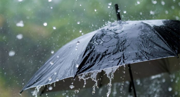 സംസ്ഥാനത്ത് ശക്തമായ കാറ്റിലും മഴയിലും വ്യാപക നാശനഷ്ടം സംസ്ഥാനത്ത് ശക്തമായ കാറ്റിലും മഴയിലും വ്യാപക നാശനഷ്ടം