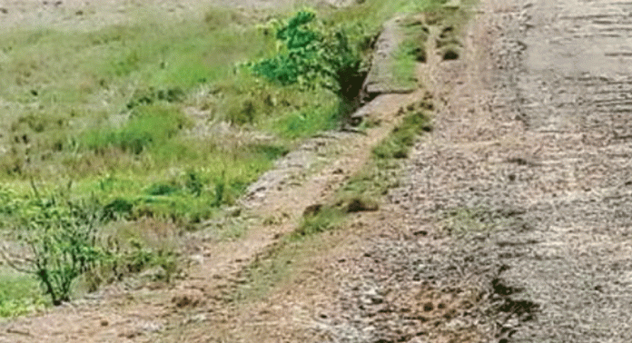 ശാസ്തങ്കൽ-വാക്കേക്കടവ്-ഉത്ഥാനത്തുപടി പാതയുടെ പണികൾക്ക് ടെൻഡറായി ശാസ്തങ്കൽ-വാക്കേക്കടവ്-ഉത്ഥാനത്തുപടി പാതയുടെ പണികൾക്ക് ടെൻഡറായി