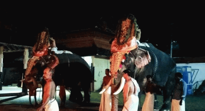 ശ്രീവല്ലഭ മഹാക്ഷേത്രത്തിൽ പതിറ്റാണ്ടുകളായുള്ള ഉത്രാട നാളിലെ നെയ്യും കറുകയും ആചാരപ്പൊലിമയോടെ സമർപ്പിച്ചു ശ്രീവല്ലഭ മഹാക്ഷേത്രത്തിൽ പതിറ്റാണ്ടുകളായുള്ള ഉത്രാട നാളിലെ നെയ്യും കറുകയും ആചാരപ്പൊലിമയോടെ സമർപ്പിച്ചു