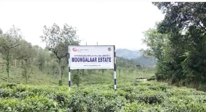 ഹാരിസൺസ് മലയാളം പ്ലാന്റ്റ്റേഷൻ തൊഴിലാളികളുടെ ബോണസ് തർക്കം പരിഹരിച്ചു ഹാരിസൺസ് മലയാളം പ്ലാന്റ്റ്റേഷൻ തൊഴിലാളികളുടെ ബോണസ് തർക്കം പരിഹരിച്ചു