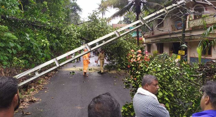 കനത്ത മഴയിലും കാറ്റിലും പെരുനാട്ടില് വ്യാപക നാശ നഷ്ടം കനത്ത മഴയിലും കാറ്റിലും പെരുനാട്ടില് വ്യാപക നാശ നഷ്ടം