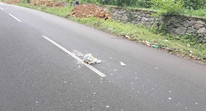 ചെത്തോങ്കര-അത്തിക്കയം റോഡിലേക്ക് മാലിന്യം വലിച്ചെറിയുന്നത് പതിവാകുന്നു ചെത്തോങ്കര-അത്തിക്കയം റോഡിലേക്ക് മാലിന്യം വലിച്ചെറിയുന്നത് പതിവാകുന്നു