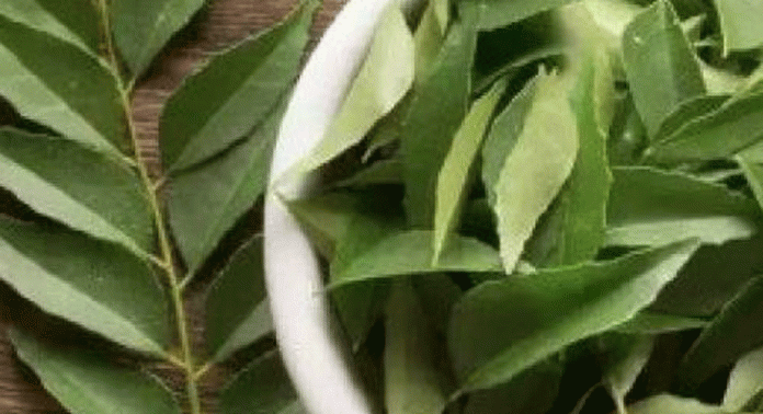 എന്ത് ചെയ്തിട്ടും മുടി കൊഴിച്ചില് മാറുന്നില്ലേ ? ഇവ ആഹാരക്രമത്തില് ഉള്പ്പെടുത്താം എന്ത് ചെയ്തിട്ടും മുടി കൊഴിച്ചില് മാറുന്നില്ലേ ? ഇവ ആഹാരക്രമത്തില് ഉള്പ്പെടുത്താം