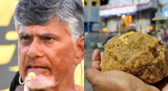 തിരുപ്പതി ലഡുവിൽ മൃഗക്കൊഴുപ്പെന്ന് ലാബ് റിപ്പോർട്ട് ; വൈഎസ്ആർ കോൺഗ്രസിനെതിരെ ചന്ദ്രബാബു നായിഡു തിരുപ്പതി ലഡുവിൽ മൃഗക്കൊഴുപ്പെന്ന് ലാബ് റിപ്പോർട്ട് ; വൈഎസ്ആർ കോൺഗ്രസിനെതിരെ ചന്ദ്രബാബു നായിഡു
