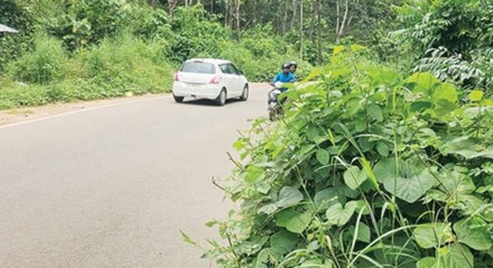 സുരക്ഷാ സംവിധാനമില്ല ; അപകടം പതിയിരിക്കും മിനി ഹൈവേ സുരക്ഷാ സംവിധാനമില്ല ; അപകടം പതിയിരിക്കും മിനി ഹൈവേ