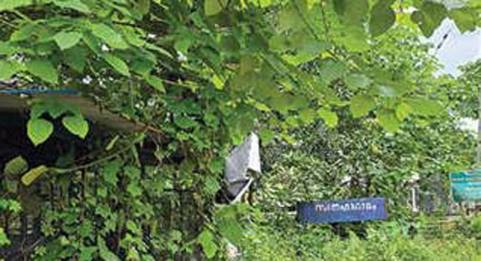 വള്ളിക്കോട് പഞ്ചായത്തിൽ ആരംഭിച്ച സ്നേഹാരാമം പദ്ധതി കാടുകയറി നശിക്കുന്നു വള്ളിക്കോട് പഞ്ചായത്തിൽ ആരംഭിച്ച സ്നേഹാരാമം പദ്ധതി കാടുകയറി നശിക്കുന്നു