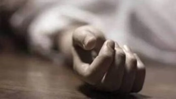 കാട്ടുപന്നിക്ക് വച്ച കെണിയില് നിന്ന് ഷോക്കേറ്റ് സഹോദരങ്ങള് മരിച്ചു കാട്ടുപന്നിക്ക് വച്ച കെണിയില് നിന്ന് ഷോക്കേറ്റ് സഹോദരങ്ങള് മരിച്ചു