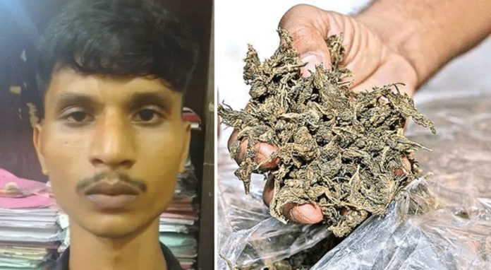 കഞ്ചാവുമായി അസം സ്വദേശി കോട്ടയത്ത് അറസ്റ്റിൽ കഞ്ചാവുമായി അസം സ്വദേശി കോട്ടയത്ത് അറസ്റ്റിൽ