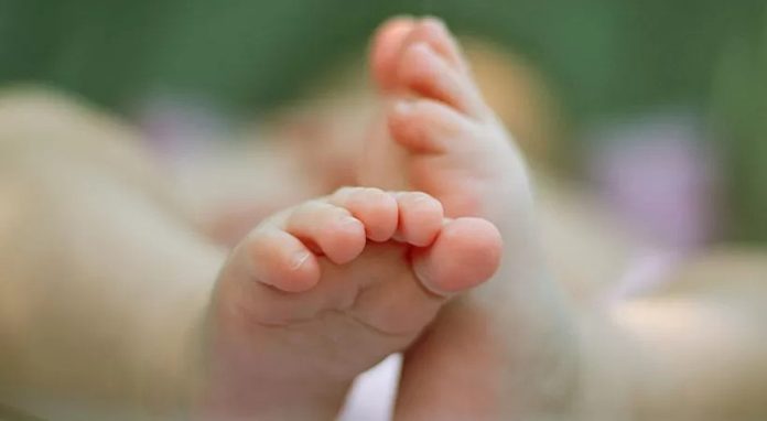 അമ്മത്തൊട്ടിലിൽ പുതിയ അതിഥി ; പെൺകുഞ്ഞിന് നവമി എന്ന് പേരിട്ടു അമ്മത്തൊട്ടിലിൽ പുതിയ അതിഥി ; പെൺകുഞ്ഞിന് നവമി എന്ന് പേരിട്ടു