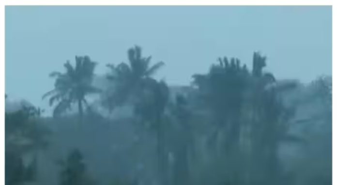 ദാന ചുഴലിക്കാറ്റ് കര തൊട്ടു ; ഒഡിഷയിൽ മിന്നൽപ്രളയ മുന്നറിയിപ്പ് ദാന ചുഴലിക്കാറ്റ് കര തൊട്ടു ; ഒഡിഷയിൽ മിന്നൽപ്രളയ മുന്നറിയിപ്പ്
