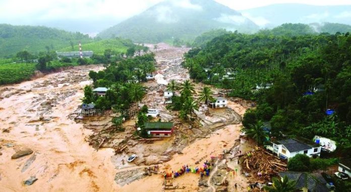 വയനാട് ദുരന്തം ; അതിതീവ്ര ദുരന്തമായി പ്രഖ്യാപിക്കണമെന്ന് അമിക്കസ് ക്യൂറി റിപ്പോര്ട്ട് വയനാട് ദുരന്തം ; അതിതീവ്ര ദുരന്തമായി പ്രഖ്യാപിക്കണമെന്ന് അമിക്കസ് ക്യൂറി റിപ്പോര്ട്ട്