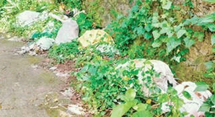 പുല്ലാട് റോഡരികിൽ മാലിന്യം തള്ളുന്നത് പതിവ് പുല്ലാട് റോഡരികിൽ മാലിന്യം തള്ളുന്നത് പതിവ്