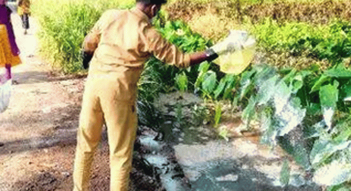 മാലിന്യത്തില് വലഞ്ഞ് അടൂര് നഗരസഭ മാലിന്യത്തില് വലഞ്ഞ് അടൂര് നഗരസഭ