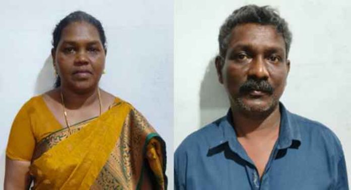 എംടിയുടെ വീട്ടിലെ മോഷണം ; ജോലിക്കാരിയും ബന്ധുവും പിടിയിൽ എംടിയുടെ വീട്ടിലെ മോഷണം ; ജോലിക്കാരിയും ബന്ധുവും പിടിയിൽ