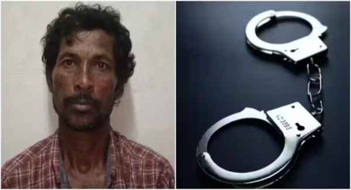 ചിപ്സ് വാങ്ങിത്തരാമെന്ന് പറഞ്ഞ് 5 വയസുകാരിക്ക് നേരെ പീഡനം ; 53കാരൻ അറസ്റ്റിൽ ചിപ്സ് വാങ്ങിത്തരാമെന്ന് പറഞ്ഞ് 5 വയസുകാരിക്ക് നേരെ പീഡനം ; 53കാരൻ അറസ്റ്റിൽ