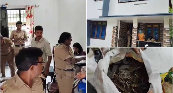 തിരുവനന്തപുരം നെടുമങ്ങാട് വാടക വീട്ടിൽ നിന്ന് വൻ കഞ്ചാവ് വേട്ട തിരുവനന്തപുരം നെടുമങ്ങാട് വാടക വീട്ടിൽ നിന്ന് വൻ കഞ്ചാവ് വേട്ട