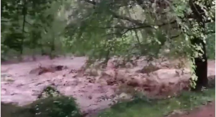 പാലക്കാട് മലമ്പുഴയിൽ ഉരുൾപൊട്ടലുണ്ടായതായി സംശയം പാലക്കാട് മലമ്പുഴയിൽ ഉരുൾപൊട്ടലുണ്ടായതായി സംശയം
