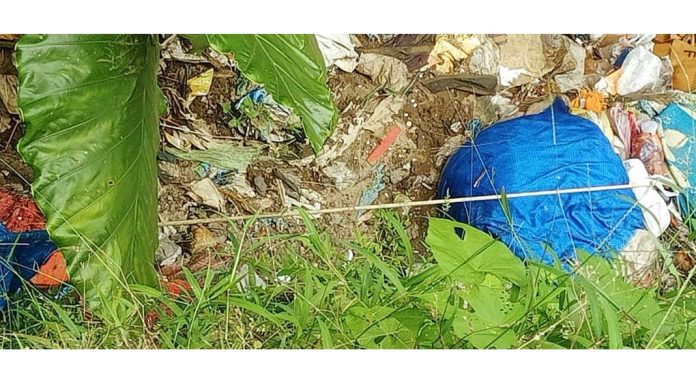 മാലിന്യം കൊണ്ട് നിറഞ്ഞ് പുളിമുക്ക് തോട് മാലിന്യം കൊണ്ട് നിറഞ്ഞ് പുളിമുക്ക് തോട്