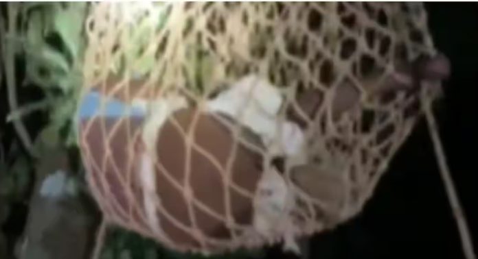 മരത്തിന് മുകളില് കയറി ആത്മഹത്യാ ഭീഷണി മുഴക്കിയ യുവാവിനെ അഗ്നിരക്ഷാ സേന താഴെയിറക്കി മരത്തിന് മുകളില് കയറി ആത്മഹത്യാ ഭീഷണി മുഴക്കിയ യുവാവിനെ അഗ്നിരക്ഷാ സേന താഴെയിറക്കി