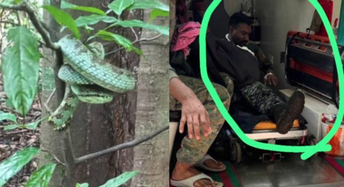 കണ്ണൂര് വനമേഖലയിൽ മാവോയിസ്റ്റുകള്ക്കായി തെരച്ചിൽ നടത്തുന്നതിനിടെ തണ്ടര്ബോള്ട്ട് സംഘാംഗത്തിന് പാമ്പു കടിയേറ്റു കണ്ണൂര് വനമേഖലയിൽ മാവോയിസ്റ്റുകള്ക്കായി തെരച്ചിൽ നടത്തുന്നതിനിടെ തണ്ടര്ബോള്ട്ട് സംഘാംഗത്തിന് പാമ്പു കടിയേറ്റു