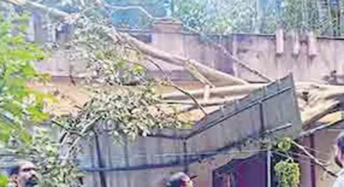 കാറ്റ് : വയ്യാറ്റുപുഴയില് പത്ത് വീടുകൾക്ക് നാശം കാറ്റ് : വയ്യാറ്റുപുഴയില് പത്ത് വീടുകൾക്ക് നാശം