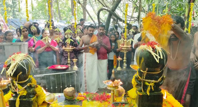 കോന്നി കല്ലേലി ഊരാളി അപ്പൂപ്പൻ കാവിൽ ആയില്യം പൂജ സമർപ്പിച്ചു കോന്നി കല്ലേലി ഊരാളി അപ്പൂപ്പൻ കാവിൽ ആയില്യം പൂജ സമർപ്പിച്ചു