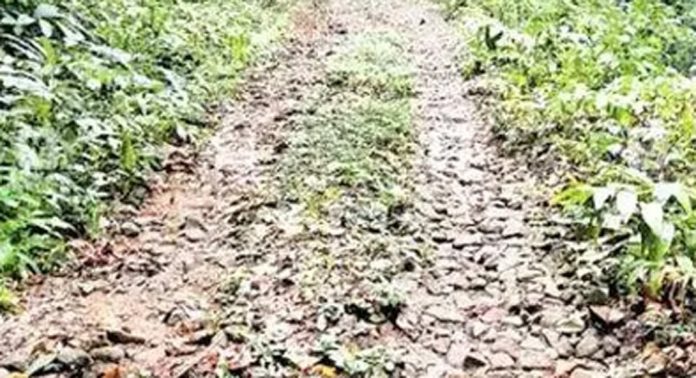 അറ്റകുറ്റപ്പണികളില്ലാത്ത തണ്ണിത്തോട് അഞ്ചുകുഴി – കുടപ്പനക്കുളം റോഡിൽ യാത്ര ദുഷ്കരം അറ്റകുറ്റപ്പണികളില്ലാത്ത തണ്ണിത്തോട് അഞ്ചുകുഴി – കുടപ്പനക്കുളം റോഡിൽ യാത്ര ദുഷ്കരം