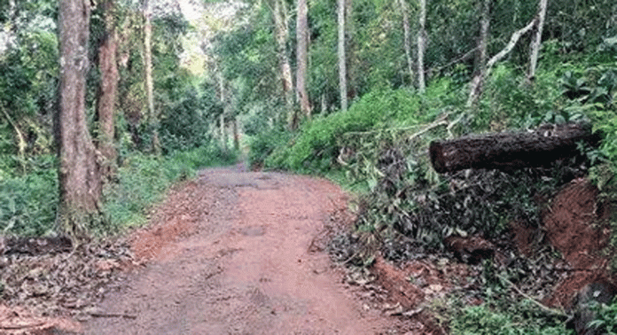 മഴയിൽ മണ്ണൊലിച്ചു പോയി ; ആഞ്ഞിലിമുക്ക് – കൊച്ചുകുളം റോഡിലൂടെയുള്ള യാത്ര ദുരിതം മഴയിൽ മണ്ണൊലിച്ചു പോയി ; ആഞ്ഞിലിമുക്ക് – കൊച്ചുകുളം റോഡിലൂടെയുള്ള യാത്ര ദുരിതം