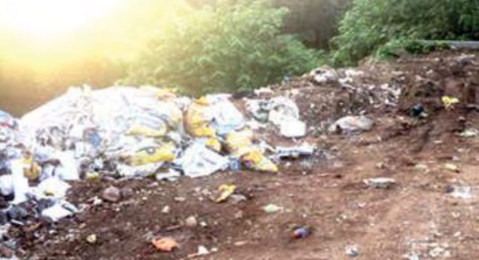 കുമ്പഴ പാലത്തിനോട് ചേർന്ന് നടപ്പാത നിർമിക്കാനുള്ള നീക്കം മുടങ്ങി കുമ്പഴ പാലത്തിനോട് ചേർന്ന് നടപ്പാത നിർമിക്കാനുള്ള നീക്കം മുടങ്ങി
