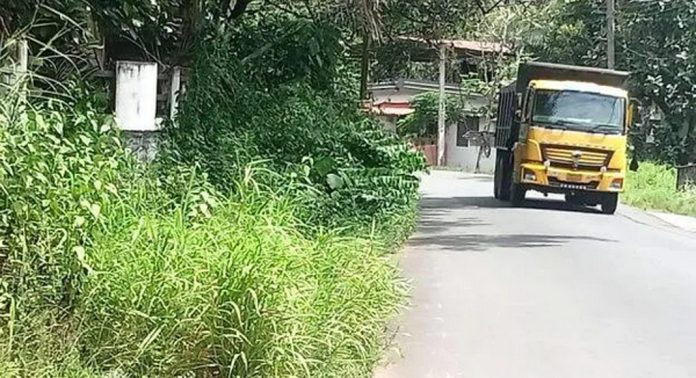 കാട് മൂടി പാതയോരങ്ങള് ; അപകടഭീതിയില് യാത്രക്കാര് കാട് മൂടി പാതയോരങ്ങള് ; അപകടഭീതിയില് യാത്രക്കാര്