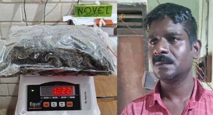 മല്ലപ്പള്ളിയില് 1.2 കി.ഗ്രാം കഞ്ചാവുമായി ക്രിമിനല് കേസ് പ്രതി അറസ്റ്റില് മല്ലപ്പള്ളിയില് 1.2 കി.ഗ്രാം കഞ്ചാവുമായി ക്രിമിനല് കേസ് പ്രതി അറസ്റ്റില്