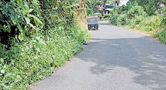 പാലച്ചുവട് നരിക്കുഴി റോഡിന്റെ നവീകരണം വീണ്ടും വൈകും പാലച്ചുവട് നരിക്കുഴി റോഡിന്റെ നവീകരണം വീണ്ടും വൈകും