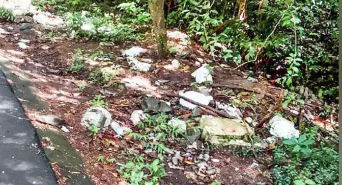 പൊന്തന്പുഴ വനമേഖലയെ മാലിന്യം നിക്ഷേപിച്ച് നശിപ്പിക്കുന്നതായി പരാതി പൊന്തന്പുഴ വനമേഖലയെ മാലിന്യം നിക്ഷേപിച്ച് നശിപ്പിക്കുന്നതായി പരാതി