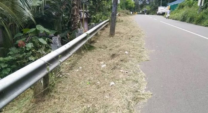 പാറക്കടവ് പാലം റോഡിലെ കാടുകൾ നീക്കം ചെയ്ത് പത്തനംതിട്ട നഗരസഭ പാറക്കടവ് പാലം റോഡിലെ കാടുകൾ നീക്കം ചെയ്ത് പത്തനംതിട്ട നഗരസഭ