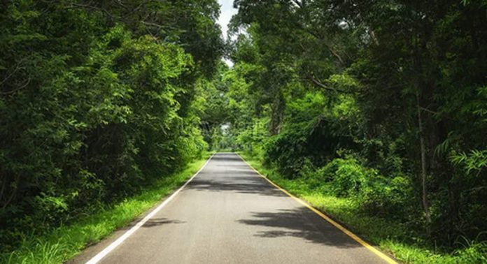 പ്രമാടം പഞ്ചായത്തുപടി – കൊട്ടിപ്പിള്ളേത്ത് റോഡ് നവീകരണത്തിന് 3.85 കോടി പ്രമാടം പഞ്ചായത്തുപടി – കൊട്ടിപ്പിള്ളേത്ത് റോഡ് നവീകരണത്തിന് 3.85 കോടി
