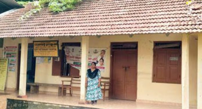 കോയിപ്രം മൃഗാശുപത്രിയിക്ക് സമീപം അപകട ഭീതി ഉയര്ത്തി മരക്കമ്പുകള് കോയിപ്രം മൃഗാശുപത്രിയിക്ക് സമീപം അപകട ഭീതി ഉയര്ത്തി മരക്കമ്പുകള്