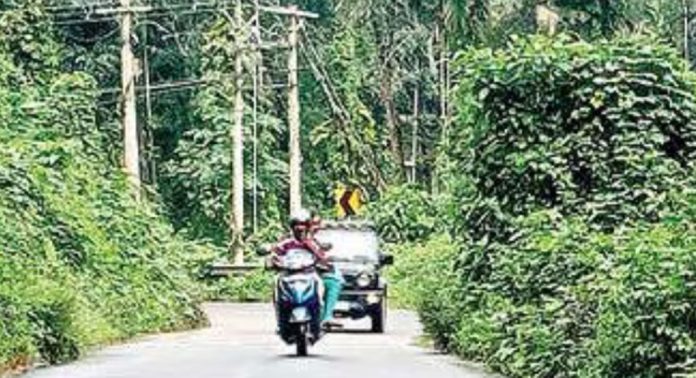 അരുവിക്കലിൽ റോഡിനിരുവശത്തെ കാട് അപകടഭീതി ഉയര്ത്തുന്നു അരുവിക്കലിൽ റോഡിനിരുവശത്തെ കാട് അപകടഭീതി ഉയര്ത്തുന്നു