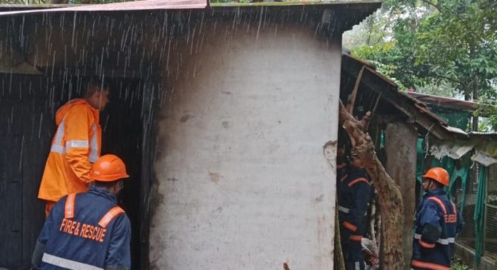 റാന്നിയില് റബര്പുകപ്പുരയ്ക്ക് തീപിടിച്ചു ; ഒഴിവായത് വന് അപകടം റാന്നിയില് റബര്പുകപ്പുരയ്ക്ക് തീപിടിച്ചു ; ഒഴിവായത് വന് അപകടം