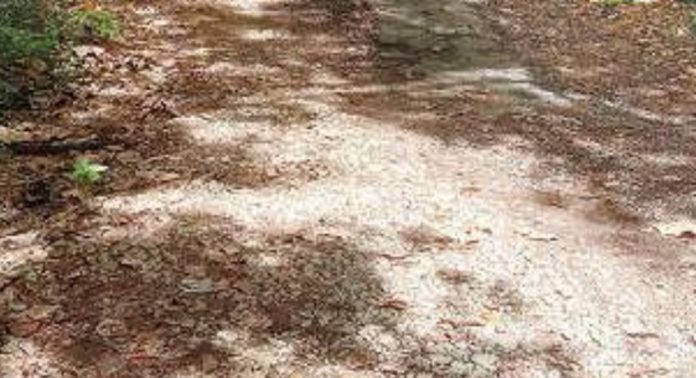 തകർന്നടിഞ്ഞ് തോട്ടപ്പുഴശേരിയിലെ ഗ്രാമീണറോഡുകൾ തകർന്നടിഞ്ഞ് തോട്ടപ്പുഴശേരിയിലെ ഗ്രാമീണറോഡുകൾ