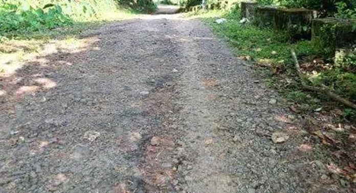 തൊണ്ടിക്കയം- മണിയാർ റോഡ് തകർന്നു ; ദുരിതത്തില് യാത്രക്കാര് തൊണ്ടിക്കയം- മണിയാർ റോഡ് തകർന്നു ; ദുരിതത്തില് യാത്രക്കാര്