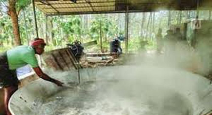 കരിമ്പുകൃഷി ക്ലിക്ക് ആയി ; വള്ളിക്കോട് പഞ്ചായത്തിൽ ഇത്തവണ വിറ്റത് പത്ത് ടൺ ശർക്കര കരിമ്പുകൃഷി ക്ലിക്ക് ആയി ; വള്ളിക്കോട് പഞ്ചായത്തിൽ ഇത്തവണ വിറ്റത് പത്ത് ടൺ ശർക്കര