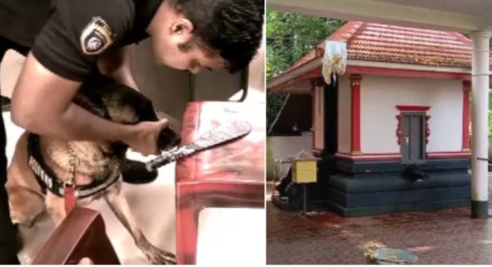 തൃശൂരിൽ രണ്ട് ക്ഷേത്രങ്ങളിൽ മോഷണം ; സ്വർണ്ണാഭരണങ്ങളും വിഗ്രഹവും കവർന്നു തൃശൂരിൽ രണ്ട് ക്ഷേത്രങ്ങളിൽ മോഷണം ; സ്വർണ്ണാഭരണങ്ങളും വിഗ്രഹവും കവർന്നു