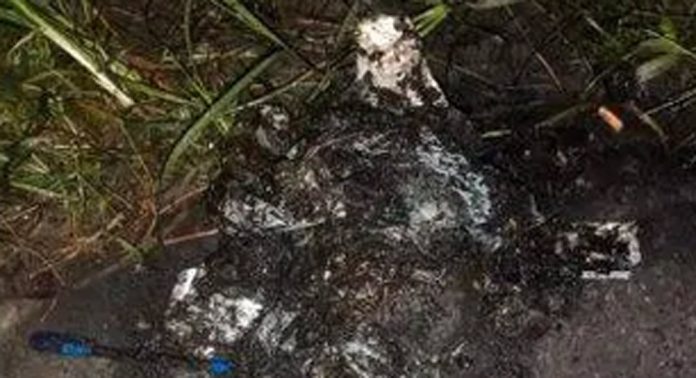 മാലിന്യം തള്ളൽ ; കെ.എസ്.ആർ.ടി.സി ബസ് ടെർമിനലിലെ ടോയ്ലറ്റിന്റെ പ്രവർത്തനം തടസപ്പെട്ടു മാലിന്യം തള്ളൽ ; കെ.എസ്.ആർ.ടി.സി ബസ് ടെർമിനലിലെ ടോയ്ലറ്റിന്റെ പ്രവർത്തനം തടസപ്പെട്ടു