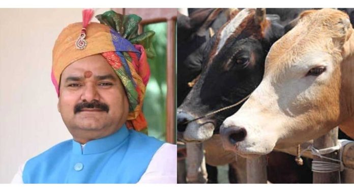 ക്യാൻസർ രോഗികൾ പശുത്തൊഴുത്ത് വൃത്തിയാക്കി അതിൽ കിടന്നാൽ രോഗം ഭേദമാകുമെന്ന് ഉത്തർപ്രദേശ് മന്ത്രി സഞ്ജയ് സിംഗ് ഗാംഗ്വാർ ക്യാൻസർ രോഗികൾ പശുത്തൊഴുത്ത് വൃത്തിയാക്കി അതിൽ കിടന്നാൽ രോഗം ഭേദമാകുമെന്ന് ഉത്തർപ്രദേശ് മന്ത്രി സഞ്ജയ് സിംഗ് ഗാംഗ്വാർ