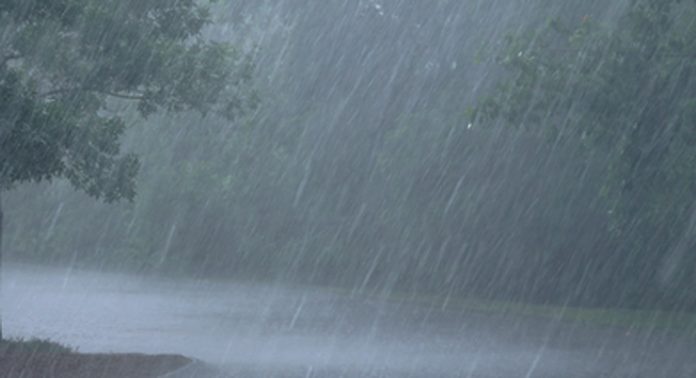 സംസ്ഥാനത്ത് ഇന്ന് ശക്തമായ മഴയ്ക്ക് സാധ്യത ; എട്ടു ജില്ലകളിൽ മഴ മുന്നറിയിപ്പ് സംസ്ഥാനത്ത് ഇന്ന് ശക്തമായ മഴയ്ക്ക് സാധ്യത ; എട്ടു ജില്ലകളിൽ മഴ മുന്നറിയിപ്പ്