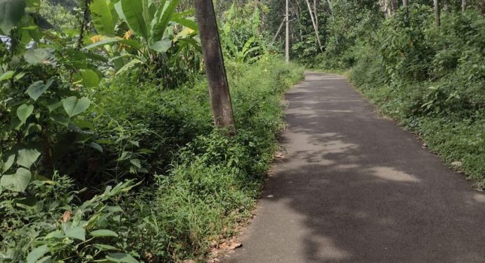 മാരംങ്കുളം – നിർമലപുരം – മുഴയമുട്ടം – മണ്ണാറത്തറ റോഡ് അടിയന്തിരമായി സഞ്ചാരയോഗ്യമാക്കണമെന്ന ആവശ്യം ശക്തമാകുന്നു മാരംങ്കുളം – നിർമലപുരം – മുഴയമുട്ടം – മണ്ണാറത്തറ റോഡ് അടിയന്തിരമായി സഞ്ചാരയോഗ്യമാക്കണമെന്ന ആവശ്യം ശക്തമാകുന്നു
