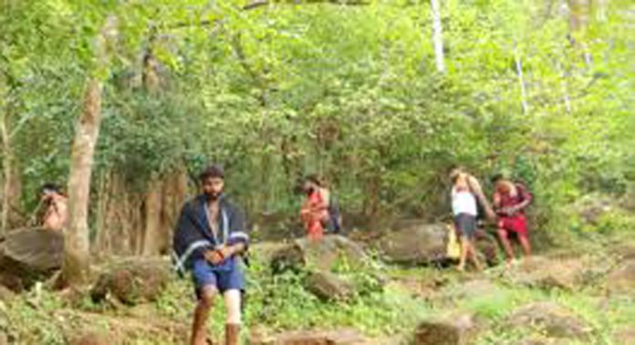 ശബരിമലയിൽ എത്തുന്ന തീർത്ഥാടകർ യാത്രമധ്യേ വന്യമൃഗങ്ങൾക്ക് ഭക്ഷണസാധനങ്ങൾ നൽകാൻ പാടില്ല ; വനംവകുപ്പ് ശബരിമലയിൽ എത്തുന്ന തീർത്ഥാടകർ യാത്രമധ്യേ വന്യമൃഗങ്ങൾക്ക് ഭക്ഷണസാധനങ്ങൾ നൽകാൻ പാടില്ല ; വനംവകുപ്പ്