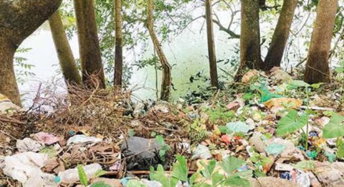 മാലിന്യം നിറഞ്ഞ് നെല്ലിക്കല് പാറക്കുളം ; മൂക്കുപൊത്തി നാട്ടുകാര് മാലിന്യം നിറഞ്ഞ് നെല്ലിക്കല് പാറക്കുളം ; മൂക്കുപൊത്തി നാട്ടുകാര്