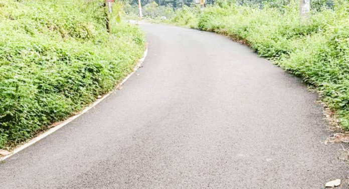 ചുങ്കപ്പാറ-ആലപ്രക്കാട്ട്-കോട്ടാങ്ങൽ റോഡിന്റ ഇരുവശവും കാടും മുൾപ്പടർപ്പും നിറഞ്ഞു ചുങ്കപ്പാറ-ആലപ്രക്കാട്ട്-കോട്ടാങ്ങൽ റോഡിന്റ ഇരുവശവും കാടും മുൾപ്പടർപ്പും നിറഞ്ഞു