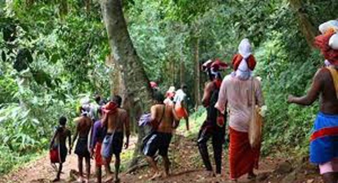 ശബരിമല തീര്ത്ഥാടനം ; 3 ദിവസങ്ങളിലായി ആയിരത്തി അഞ്ഞൂറോളം തീർഥാടകർ വനപാതയിലൂടെ കടന്നുപോയതായി വനപാലകർ ശബരിമല തീര്ത്ഥാടനം ; 3 ദിവസങ്ങളിലായി ആയിരത്തി അഞ്ഞൂറോളം തീർഥാടകർ വനപാതയിലൂടെ കടന്നുപോയതായി വനപാലകർ
